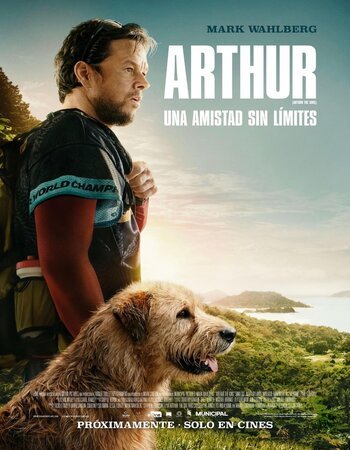 Arthur the King (2024) HDRip 480p Hindi Dubbed Watch and Download – IBF Movies